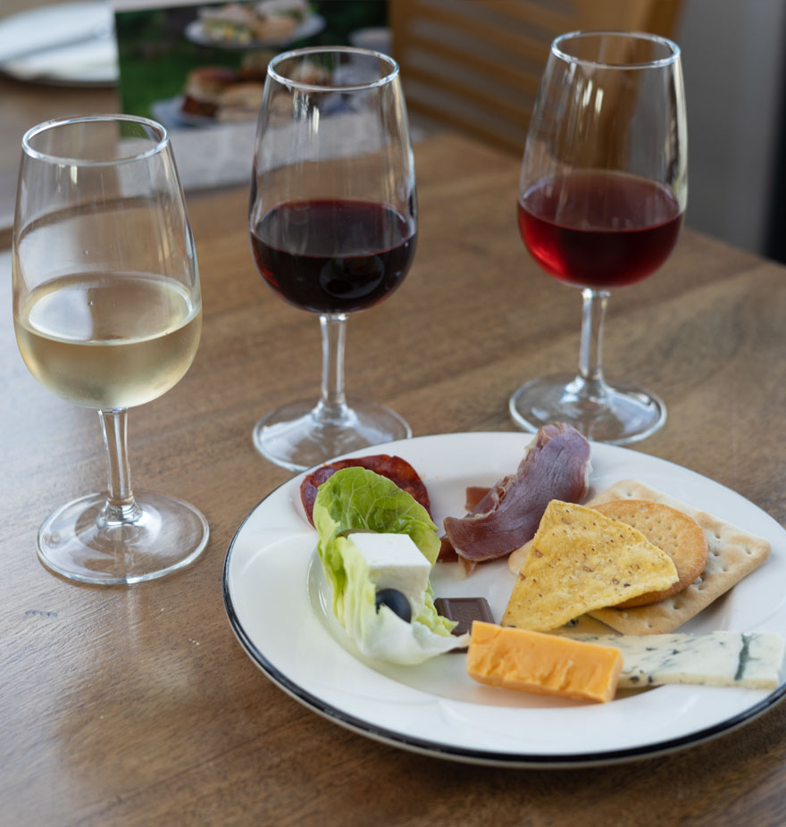 Wine and Cheese tasting with 3 bottles of wine and a plate of cheese and crackers