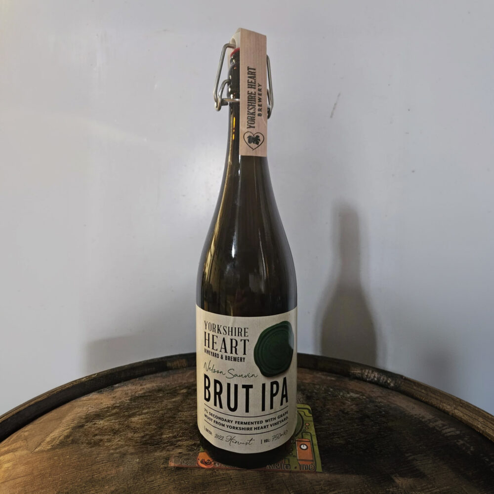 Nelson Brut IPA