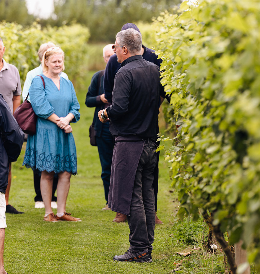 People on tour in the vineyard